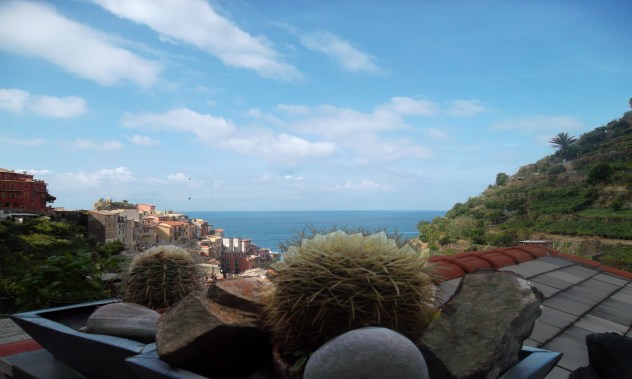 Spectacular view from the terrace