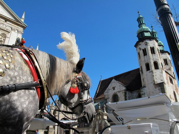 pol horse  copy copy