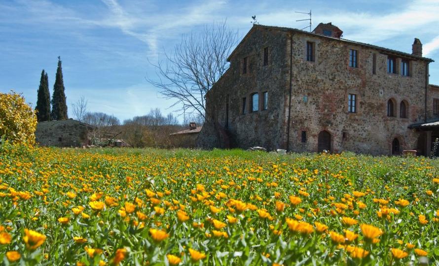 Screen Shot 2016-04-29 at 09.01.01