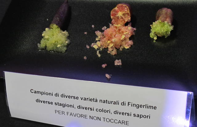 Another kind of caviar