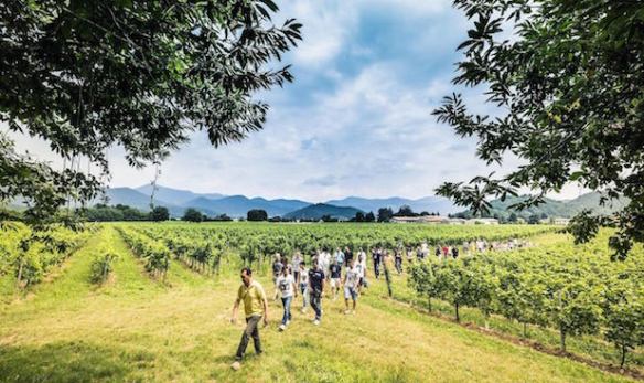 3 Festival Franciacorta Estate_ph N.Tirelli