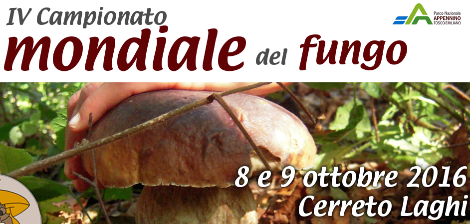 screen-shot-2016-10-07-at-11-31-57