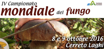 screen-shot-2016-10-07-at-11-31-57