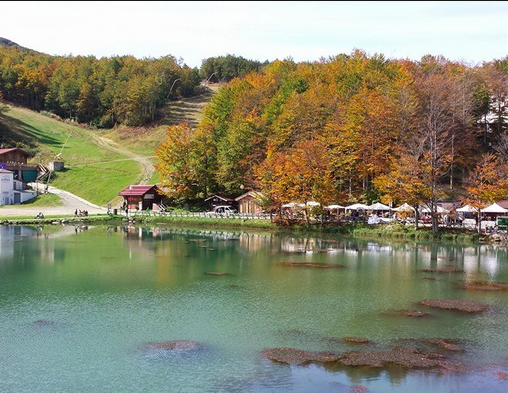 screen-shot-2016-10-07-at-12-37-37