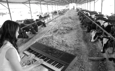 screen-shot-2016-10-26-at-10-33-41