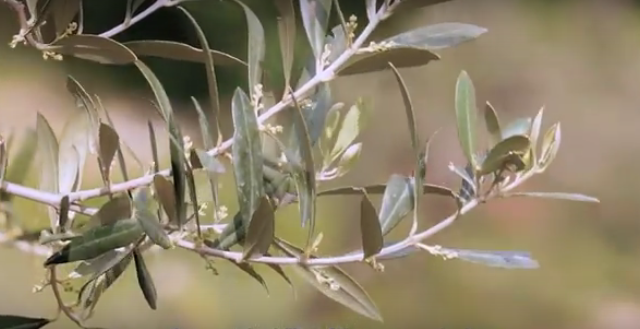 screen-shot-2016-11-02-at-20-22-38