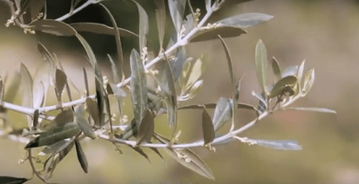 screen-shot-2016-11-02-at-20-22-38