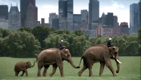 screen-shot-2016-11-23-at-15-38-31