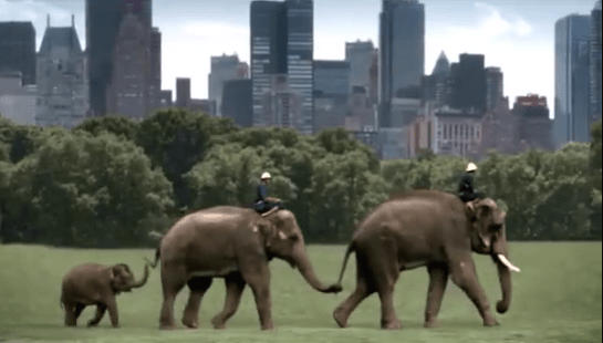 screen-shot-2016-11-23-at-15-38-31