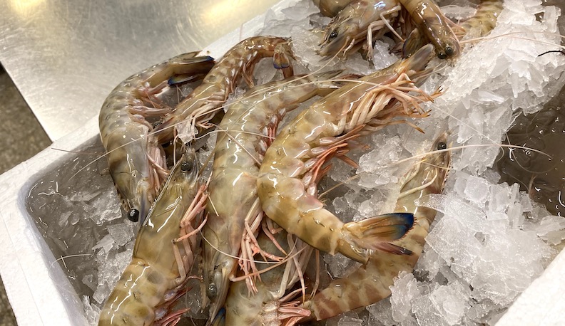 This image has an empty alt attribute; its file name is img_0160-copy.jpeg